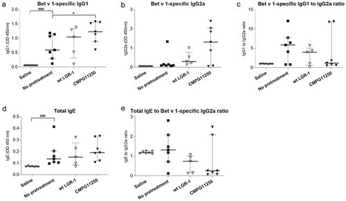 Figure 4. Serum antibody levels following preventive treatment with wild-type L. rhamnosus GR-1 and recombinant CMPG11250 in a mouse model of allergic asthma. Bet v 1-specific IgG1 (a), Bet v 1-specific IgG2a (b), ratios of Bet v 1-specific IgG1 to IgG2a (c), total IgE (d), and ratios of total IgE to Bet v 1-specific IgG2a (e) after L. rhamnosus preventive treatment and allergic asthma induction. Groups are labeled according to Figure 1c as follows: Saline: no asthma induction, not pretreated; No pretreatment: allergic asthma, not pretreated; wt LGR-1: allergic asthma, pretreated with wild-type L. rhamnosus GR-1; CMPG11250: allergic asthma, pretreated with recombinant L. rhamnosus GR-1 producing Bet v 1 (CMPG11250). Data are expressed as absorbance at 450 nm and depicted as median with interquartile range. ###p < .001 compared to the saline group; *p < .05 compared to the no pretreatment group, n = 5–7 mice per group.