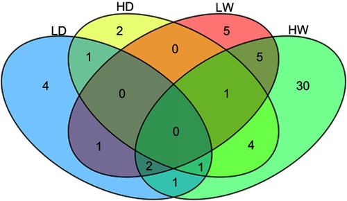 Figure 5 Venn diagrams showing the overlap of changed metabolites between different dosage of Mn-doped ZnS QDs and controls at 24 hrs and 7 days.Abbreviations: QDS, quantum dots; LD: 2 mg/kg Mn-doped ZnS QD at 24 hrs; HD, 20 mg/kg Mn-doped ZnS QDs at 24 hrs; LW: 2 mg/kg Mn-doped ZnS QD at 7 days; HW, 20 mg/kg Mn-doped ZnS QDs at 7 days.