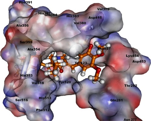 Figure 4 Docking study of compound 4j in the active site of human ACE.