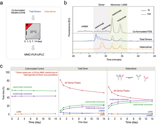 Figure 5. Stability assessment of enriched total dimer and heterodimers from REGEN-COV®. (a) Co-formulated REGEN-COVⓇ, enriched total dimers, and enriched heterodimer were incubated at 37°C and subjected to analytical MMC-FLR-UPLC. (b) Example MMC chromatograms at t = 0 and t = 14 days for each sample. Monomer and dimer peaks are shaded. (c) Peak area quantitation of monomer, dimer, very high molecular weight (vHMW) species, and low molecular weight (LMW) species for each sample throughout the time course based on MMC-FLR-UPLC. Each data point represents the average of three replicate measurements. Dimer peaks were below quantitation in the co-formulated control sample due to heterogeneity of the dimer subpopulations. Results indicate that most enriched dimer forms are partially dissociable, including the heterodimer (right).
