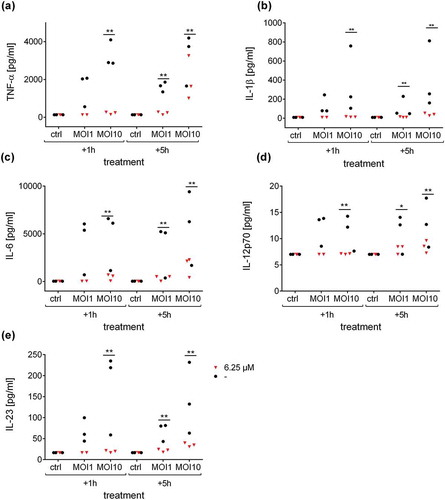 Figure 4. Defensin 1 reduces cytokine release from infected human macrophages. Supernatants from samples in Figure 3 were analyzed by Multiplex ELISA for different cytokines. Secretion levels of TNF-α (a), IL-1β (b), IL-6 (c), IL-12p70 (d) and IL-23 (e) after treatment with 6.25 µM Defensin 1 for 1 h or 5 h post infection, respectively, or left untreated for control (-) are shown. Statistical significance was assessed as described in the methods section, **p < 0.01, *p < 0.05 vs. corresponding control.