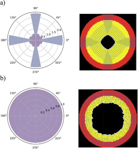 Figure 2. Polar curve of the final pattern of SMC migration (a) reflecting the lattice symmetry and (b) using our developed model. In the left graph, the radial coordinate represents the normalized number of the SMCs present in each 22.5° angle opening (i.e. number of cells in each angle opening divided by the initial number of the cells in the same angle opening). The right figures correspond to the ABM raw results. Bullets are the cells, red artery layer is the media and yellow the intima.