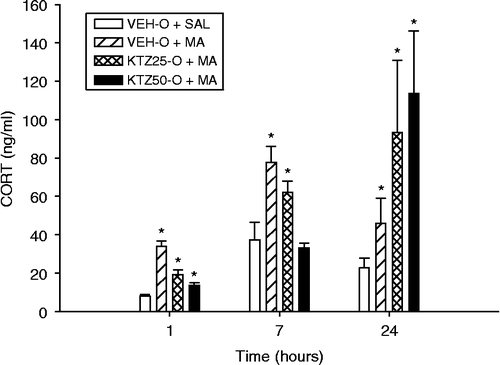 Figure 5.  CORT values following a KTZ-O pretreatment and MA drug exposure at the 1-, 7-, and 24-h time points after the first dose on P11. CORT levels increased significantly at each successive time point. At the 1-h time point, all groups had significantly elevated CORT levels compared to the VEH-O+SAL control group. At the 7-h time point, the VEH-O+MA and the KTZ25-O+MA groups had increased CORT compared to the VEH-O+SAL control group, but there was no difference between the VEH-O+SAL group and the KTZ50-O+MA group. At the 24-h time point, the VEH-O+MA group and both groups that received the KTZ-O pretreatment had elevated CORT relative to the VEH-O+SAL control group. Eight animals/treatment were used. *p < 0.05 from the VEH-O+SAL control group.