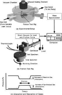 FIG. 2 Experimental procedure.