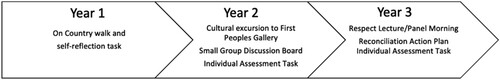 Figure 1. Cultural safety teaching across the 3-year programme.