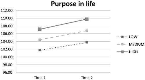 Figure 11. Interaction effect of time and narratization on purpose in life.