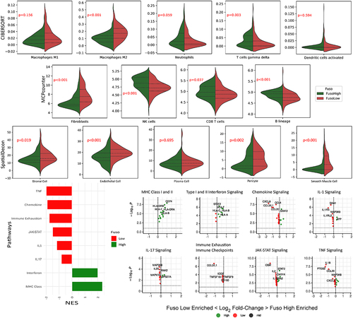 Figure 2. Violin plots of differentially expressed immune cells identified in the fusobacteria high versus low regions by wilcoxin rank sum test. Genes are sorted according to fold changes from the differential expressions analyses results. Gene set enrichment is performed based on the ranked gene lists. A high normalized enrichment score (NES) indicates an overrepresentation of the genes in the fusobacteria high ROIs, and a low NES indicates an overrepresentation of the genes in the fusobacteria low samples.