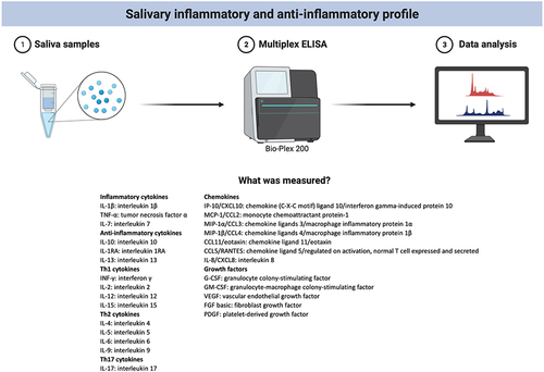 Figure 1 Measurement of salivary inflammatory and anti-inflammatory profile by multiplex ELISA. Created with BioRender.com.