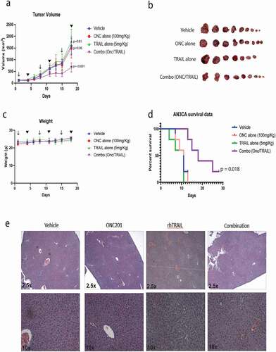 Figure 5. Tumor growth is reduced in vivo by combination treatment with ONC201 and recombinant TRAIL in a xenograft model of endometrial cancer