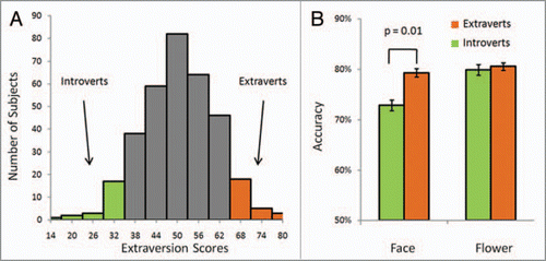 Figure 1 The relation between extraversion and face recognition ability. (A) Distribution of extraversion scores. The number of extraverts and introverts were 20 and 23 respectively, constituting approximately 12% of the total subjects tested. (B) The extraverts performed better at face recognition task, but not at flower recognition task, than introverts. The dissociation of Extraversion by object recognition suggests that the link between extraversion and face recognition is related to face-specific processing. Accuracy is shown on the y-axis and the error bar indicates standard error.