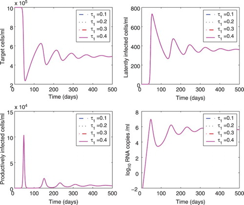 Figure 3. Effect of different time delays (τ1) on the dynamics of model (Equation1(1) dTdt=s−dTT−βVT,dLdt=fβV(t−τ1)T(t−τ1)e−δ1τ1−δLL−αL,dIdt=(1−f)βV(t−τ2)T(t−τ2)e−δ1τ2−δI+αL,dVdt=NδI−cV.(1) ). The delay τ1 was chosen to be 0.1, 0.2, 0.3, or 0.4 days, and the delay τ2 was fixed at 0.5 days. All the other parameter values are the same as those in Figure 1. The lines of different cases overlap.