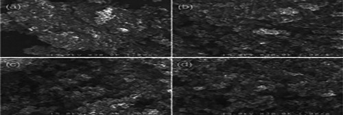 Figure 11 . SEM Image of CVD-coated bead with (a) 10 min, (b) 30 min, (c) 60 min and (d) 120 min. ( Citation90).