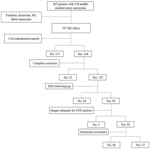 Figure 1 Flowchart of the population selection of the MCABAs.