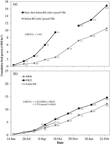 Figure 3. Amount of cumulative feed grown (t DM ha−1) of A, Italian ryegrass (‘Italian RG’) or oats catch crops (both crops sown 5 May 2017) after ‘grazed’ fodder beet (FB) by lactating dairy cows in autumn 2017 (FB allocation treatments averaged), and B, catch crop feed grown within the ‘grazed’ FB allocation herd treatments [whereby mobs of animals were allocated FB at either 25% of the diet dry matter (DM) (4 kg DM cow−1 day−1, with pasture at 11 kg DM cow−1 day−1; ‘FB25’) or 40% of the diet DM (6 kg DM cow−1 day−1, with pasture at 9 kg DM cow−1 day−1; ‘FB40’)], as well as ungrazed areas of the plots where FB was lifted and removed, i.e. no grazing took place (‘lifted FB’) (average of oats and Italian RG treatments) at the FB-catch crop paddock trial at DairyNZ’s Scott Farm, Hamilton (n = 6 for ‘Grazed’ FB treatments, and n = 12 for ‘lifted’ FB treatments). After oats were harvested at green-chop silage maturity (12 October 2017), oat plots were sown with Italian RG (‘Oats, then Italian RG’), therefore all feed produced post 12 October 2017 was Italian ryegrass pasture. LSR represents the least significant ratio at the 5% level, i.e. if the value of the ratio of the larger mean to the smaller is greater than the LSR calculation, the means should be considered statistically significantly different.