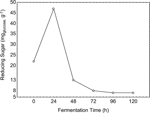 Figure 1. Reducing sugars content in rice bran fermented by Rhizopus oryzae. Figura 1. Contenido de azúcares reductores en el salvado de arroz fermentado con Rhizopus oryzae.