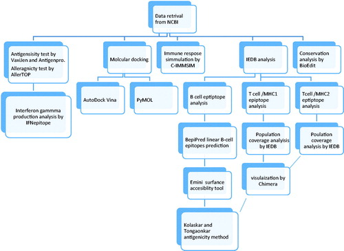 Figure 17. Workflow of the paper: showing the different soft wares used.