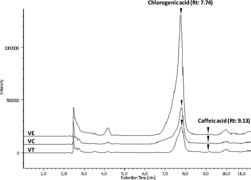 Figure 1. Chromatographic profile registered at 325 nm of methanol extracts obtained from artichoke heads of three genotypes [“Violetto di Sant'Erasmo” (VE), “Violetto di Chioggia” (VC), and “Violetto di Toscana” (VT)]. Rt indicated in parenthesis means retention time. Figura 1. Perfil cromatográfico registrado a 325 nm de extractos de metanol obtenidos de inflorescencias de alcachofa de tres genotipos: “Violetto di Sant'Erasmo” (VE), “Violetto di Chioggia” (VC) and “Violetto di Toscana” (VT). Rt indicado entre paréntesis significa tiempo de retención.