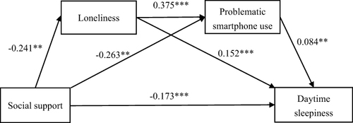 Figure 2 Results of the sequential mediation model describing the mediator roles of loneliness and problematic smartphone use in the association between social support and daytime sleepiness.