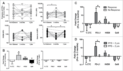 Figure 3. Changes in checkpoint ligand expression on CTCs correlate with the development of an immune response following DNA vaccination and longer progression-free survival. CTCs from PBMC of patients treated with a DNA vaccine encoding PAP (n = 15) were assessed for the expression of various checkpoint ligands pre-treatment, during treatment (3 mo) and at 1 y post-treatment. Of note, only 9 of the 15 patients analyzed at 1 y had samples available at 3 mo available for these analyses. (A) Frequency of CTC and the mean-fluorescence intensity (MFI) of PD-L1, HVEM, and Galectin-9 on the CTC are shown for all individual patients. *p < 0.05 using a Wilcoxon signed-rank test. (B) The log-transformed fold change (post/pre) is shown for both 3 mo and 1 y post-treatment. *p < 0.05 using a one-sample Wilcoxon signed rank test against a hypothetical median of 1 (no change). (C–D) Fold change (pre-treatment to 3 mo) was assessed in patients who developed a persistent immune response or not (responder n = 3, non-responder n = 6, as defined previously, C) or in patients whose progression-free survival was ≥ 2 y (n = 4) versus < 2 y (n = 5) (D). *p < 0.05 using a Mann–Whitney test.