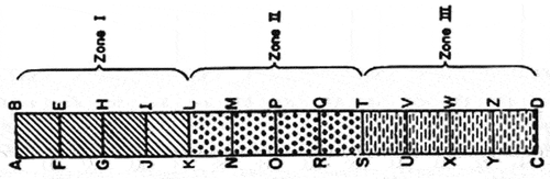 Figure 3. Random Block Design along Belt Transect used to demarcate plots in all six study sites. (Source: Bharati, Citation2019).