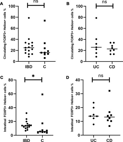 Figure 4 Circulating and intestinal Helios+ Tregs in patients with inflammatory bowel disease. (A) Comparison of circulating Helios+Tregs between the studied and the control group. (B) Comparison of circulating Helios+ Tregs between UC and CD patients. (C) Comparison of intestinal Helios+ Tregs between the studied and the control group. (D) Comparison of intestinal Helios+ Tregs between UC and CD patients. *Statistically significant difference. Individual results are shown as dots (●)/squares (■). Horizontal lines indicate median values. Helios+ Tregs are expressed as the percentage of all Tregs.Abbreviations: IBD, patients with inflammatory bowel disease; C, control group; UC, patients with ulcerative colitis; CD, patients with Crohn’s disease; ns, not significant.
