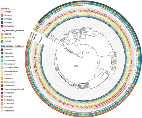 Figure 2. Maximum-likelihood phylogenetic tree for 513 phenotypically XDR isolates. We used M. canettii as an outgroup. From inner to outer rings: drug-resistance mutations, country or origin, WGS-based genotypic drug-resistant profile (MDR-TB, pre-XDR-TB, and XDR-TB) and lineages. The genetic distance proportional to the total number of single nucleotide polymorphisms (SNPs) is indicated by the scale bar. TB, tuberculosis; MDR, multidrug resistance; XDR, extensively drug-resistance.