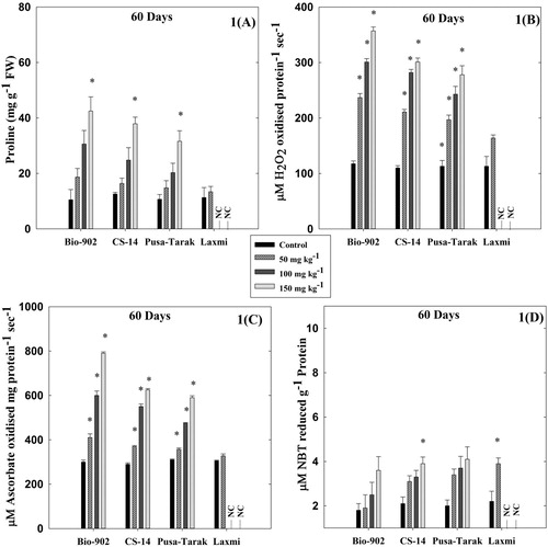 Figure 1. A comparative analysis of changes in proline content (A), CAT activity (B), APX activity (C) and SOD activity (D) in 60 days old four cultivars of B. juncea cultivars (Bio-902, CS-14, Pusa-Tarak and Laxmi, respectively) exposed to different Al concentrations (0, 50, 100 and 150 mg kg−1). (NC represents experiment not conducted due to non-germination of seeds). The data are expressed as Mean ± SD (n = 3). * shows statistical significance (p < .001).