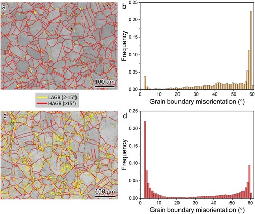 Figure 11. Microstructure evolution of the 316L side of the bimetal joint, (a) EBSD grain boundary map and (b) grain boundary misorientation distribution of the as-received 316L, (c) EBSD grain boundary map and (d) grain boundary misorientation distribution of the 316L after the tensile test.