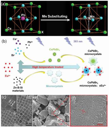 Figure 6. Schematic illustrations of (a) the structures of crystal lattice of perovskite CsPbX3 before and after Mn2+doping; (b) the formation of CsPbBr3 and Eu3+:CsPbBr3 QDs via melt-quenching. (c-d) TEM images of Mn2+:CsPbX3 QDs prepared via HI. (e-f) TEM images of Eu3+:CsPbBr3 QDs prepared via melt-quenching. Reproduced with permission from [Citation121]. © 2017 ACS publications, and [Citation127]. © 2019 ScienceDirect.