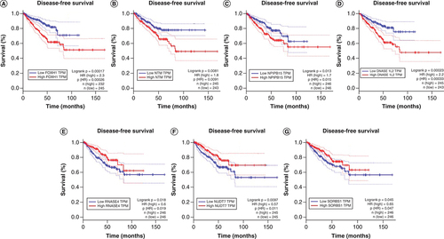 Figure 5. Kaplan–Meier survival plots for overall survival related to DE genes between tumors from patients of African ancestry versus tumors from patients of European ancestry and genes coexpressed with lncRNA in the African ancestry-European ancestry coexpression network.The X and Y axes represent survival time (months) and disease-free survival, respectively. The analysis was made in GEPIA.