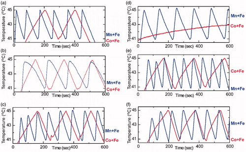 Figure 5. In vitro multiple-pulse hyperthermia protocol on SaOS-2 (top), C2-C12 (middle), 3T3-L1 (bottom). Multiple-pulses hyperthermia sequences performed in two runs with a 48 h interval in-between: Left column graphs (5a, 5b, 5c) correspond to 1st hyperthermia run while right column (5d, 5e, 5f) correspond to 2nd hyperthermia run. Blue and red curves refer to cell samples incubated with MnFe2O4/Fe3O4 (Mn + Fe) and CoFe2O4/Fe3O4 (Co + Fe) MNPs, respectively.