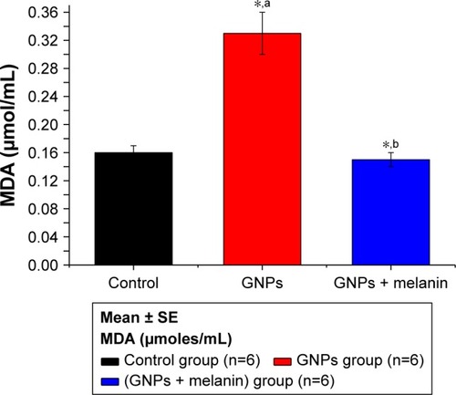 Figure 6 Effect of GNPs and melanin on liver MDA level in rats.Abbreviations: GNP, gold nanoparticle; MDA, malondialdehyde.