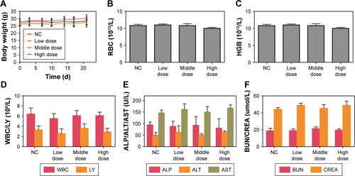 Figure S2 In vivo toxicology assays.Notes: (A) Weight of nude mice from different dose of ORI-GPC1-NP treatment groups over 21 days. Complete blood markers including (B) RBC, (C) HGB, (D) WBC and LY. (E) Liver function markers: ALP, ALT, and AST. (F) Kidney function markers: BUN and CREA from different dose of ORI-GPC1-NP treatment groups.Abbreviations: ALP, alanine alkaline phosphatase; ALT, aminotransferase; AST, aspartate aminotransferase; BUN, blood urea nitrogen; CREA, creatinine; HGB, Hemoglobin; LY, lymphocyte; NC, negative control; ORI-GPC1-NPs, GPC1-Gd-ORI@HAuNCs-Cy7 nanoparticles; RBC, red blood cells; WBC, white blood cells.