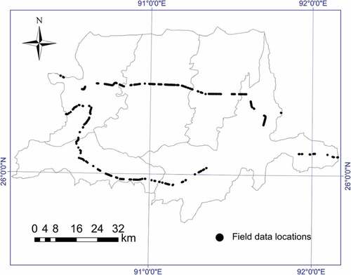 Figure 2. Field survey location