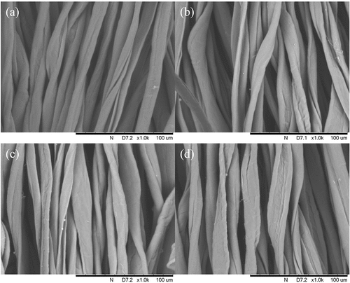 Figure 6. SEM images (1000x magnification) of cotton fibers: (a) undyed cotton; (b) water-dyed cotton (90°C); (c) octane-dyed cotton (80°C); and (d) octane-dyed cotton (90°C).