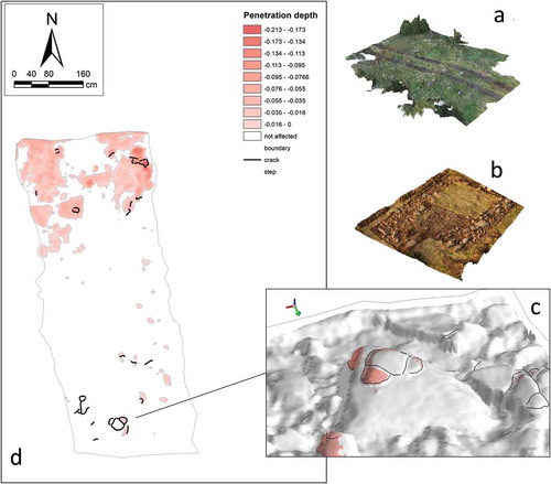 Figure 1. 3D vector- and raster-based analytic tools have been employed to make an assessment of the surface erosion exerted by the action of a vehicle’s wheels into an archaeological deposit related to a Viking Age site in southern Sweden. Starting from the comparison between models acquired before (a) and after (b) the stratigraphic investigation, it was possible to map (c) the extension and the depth of penetration and so to define the degree of damage which occurred to the archaeological material ‘’ (Landeschi, Nilsson, and Dell’Unto Citation2016b).