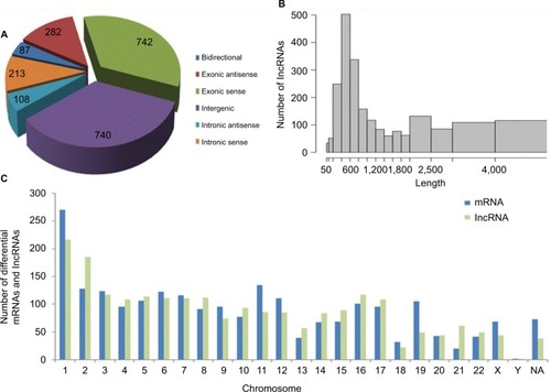 Figure 4 General signatures of the significantly altered lncRNAs.