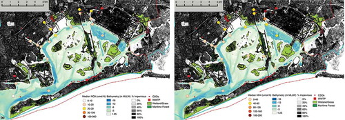 Figure 7. Annual median (a) NO3− and (b) NH4+ measured in Jamaica Bay surface waters in 2013. Data from the Jamaica Bay Water Quality Database (City University of New York (CUNY) Brooklyn College, Center for International Earth Science Information Network (CIESIN) Columbia University, New York City Department of Environmental Protection (NYCDEP), and National Park Service (NPS) Citation2017), see http://www.ciesin.columbia.edu/jbwq/parameters.html for detailed sampling methods.