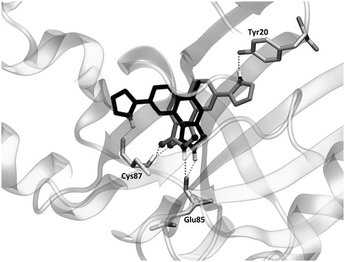 Figure 7. The binding mode of YEX (black) and new proposed compound 8 (grey) into the Chk1. Hydrogen bond interactions are shown as dashed lines.