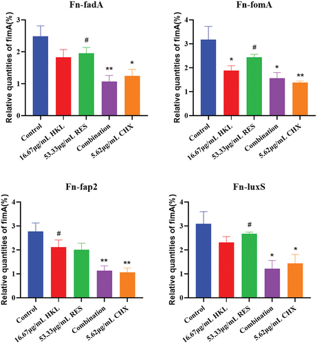 Figure 7. Expression of Fn biofilm formation related genes after drug intervention (n=3).