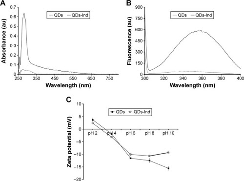 Figure 1 (A) UV/vis spectra of QDs and QDs-Ind, by assessing the absorbance of tryptophan residues; (B) fluorescence spectra of QDs and QDs-Ind, mean ± SD; and (C) ZP of QDs and QDs-Ind at different pHs. Data are mean ± SD.Abbreviations: QDs, quantum dots; ZP, zeta potential; QDS-Ind, quantum dots-indolicidin.