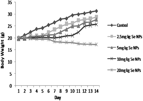 Figure 4. Mean body weight of mice administered Se NPs at the doses of 2.5, 5, 10, and 20 mg/kg for 14 consecutive days.