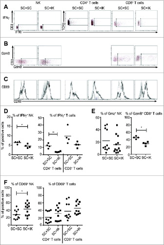 Figure 5. A dampened NK and T cell effector immune response occurs in SC tumors when a concomitant IK tumor is present. (A–C) Representative flow cytometry dot plots and histograms (D–F), quantitative data for (A and D) interferon-γ (IFNγ), (B and E) granzyme B (GzmB) and (C and F) CD69 in NK cells, CD4+ and CD8+ T cells as depicted. (A) Representative FACS data from one experiment n = 4 mice and (B, C) from three experiments, n = 11–12 mice. (A, B) the rectangular gate represents the isotype control. (C) Black line represents anti-CD69 antibody and gray line represents isotype control antibody. (D–F) percentages (%) of positive cells were calculated of total leukocytes (CD45.2+ cells). Graphs (D) are from one experiment (n = 4), (E) left panel and (F) are from three experiments pooled (n = 11–12 mice) and (E right panel) is from one representative experiment of two (n = 4) * p < 0.05, ** p < 0.005