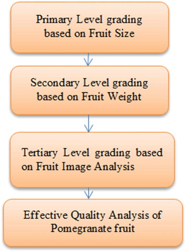 Figure 2. Overview of grading and qualification.