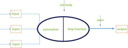 Figure 1. The simple neuron model
