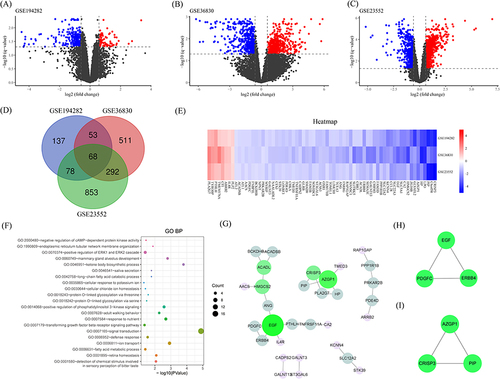 Figure 2 The screening of DEGs, GO BP analysis, PPI network and identification of hub genes. (A) Volcano plots of GSE194282; (B) Volcano plots of GSE36830; (C) Volcano plots of GSE23552; statistically significant differences were determined by an adjusted P value of < 0.05 and the fold change (FC) > 1.5 or < 2/3. (D) Venn diagram of the three GEO datasets. (E) Heatmap of 68 intersecting DEGs in CRSwNP compared to healthy controls. Red represents logFC >0, while blue represents logFC <0. (F) Bubble plots of GO terms; P < 0.05 were considered significant. (G) PPI network of 68 intersecting DEGs; the node colors representing the extent of the protein; green represents high and purple represents low; the combined score value set as > 0.4. (H) The sub-network of hub genes including EGF, ERBB4 and PDGFC; (I) The sub-network of hub genes including AZGP1, CRISP3 and PIP; the cluster degrees set as no less than 8.