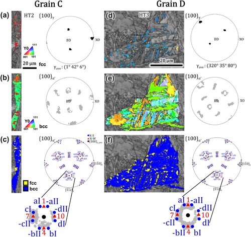 Figure 17. Pole figure analysis of Grain C (a–c) from HT2 and Grain D (d–f) from HT3: (a, d) band contrast with fcc phase IPF colour map (left) and corresponding {100}γ pole figures (right), (b, e) band contrast with bcc phase IPF colour map (left) and corresponding {100} α’ pole figures (right), (c, f) band contrast with phase map (left) and comparison of {100}α’ to the predicted K–S and N–W variants projected along the {111}γ plane.