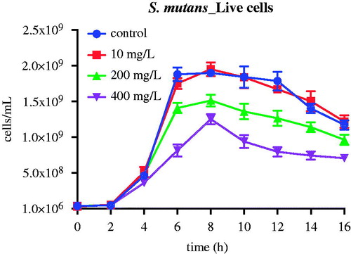 Figure 4. The effect of 10, 200 and 400 mg/L (low, medium and high concentrations) nMST-Au(III) on Sm growth curves at 37 °C over time. Only medium and high concentrations were able to affect Sm growth. High concentration had no effect on Sm cell numbers for up to 6 h.