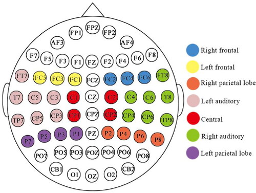 Figure 1. Schematic diagram of the 62 conductive pole cap electrode distribution and the 7 regions of interest of the brain analyser.