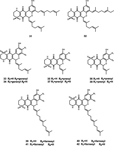 Figure 3. Chemical structures of terpenoids extracts from Aplidium conicum and their derivatives (31–42).